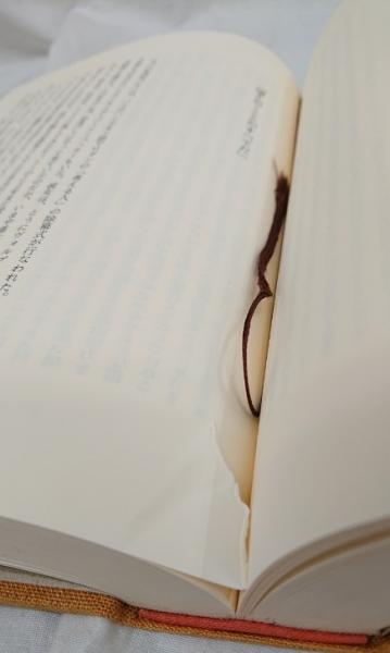 リルケ全集(塚越敏監修) / 古本、中古本、古書籍の通販は「日本の