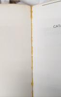 【数学洋書】Catastrophe Theory