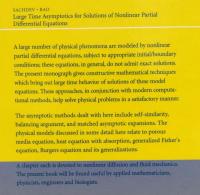 【数学洋書】Large Time Asymptotics for Solutions of Nonlinear Partial Differential Equations