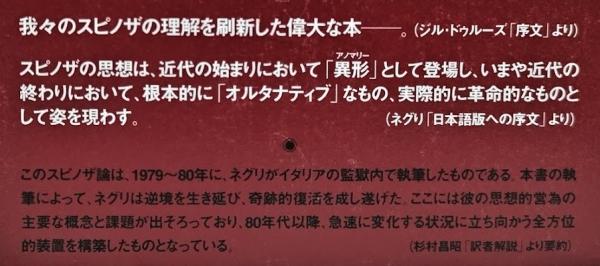 野生のアノマリー(アントニオ・ネグリ) / 古本、中古本、古書籍の通販