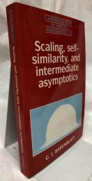 【数学洋書】Scaling,self-similarity,and intermediate asymptotics