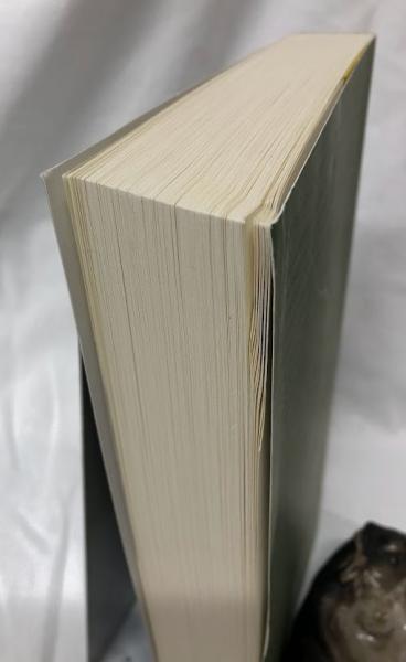 【中古本】聞こえる過去 ジョナサン・サンスタイン著 芸術洋書】The Audible Past(Jonathan Sterne) / 古本、中古本