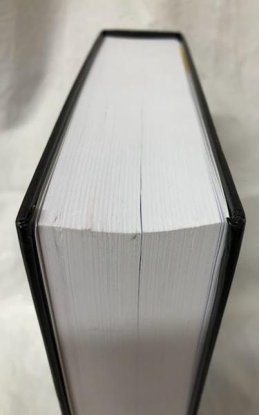 物理学洋書】Field Theories of Condensed Matter Physics SECOND