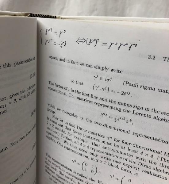 物理学洋書】An Introduction to Quantum Field Theory(M.E.Peskin他
