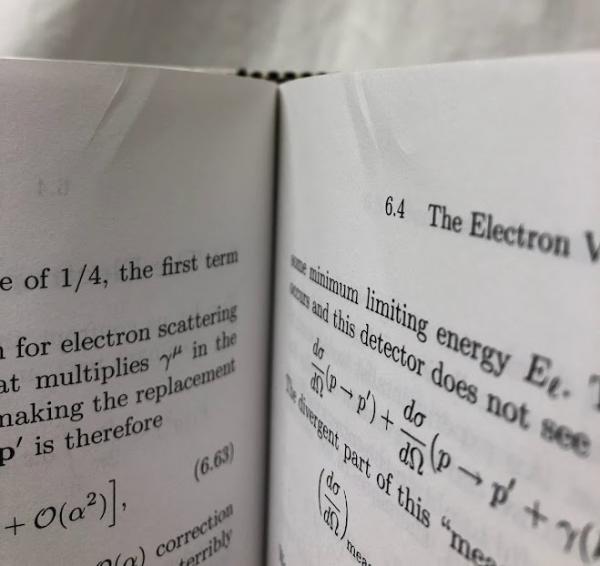 物理学洋書】An Introduction to Quantum Field Theory(M.E.Peskin他