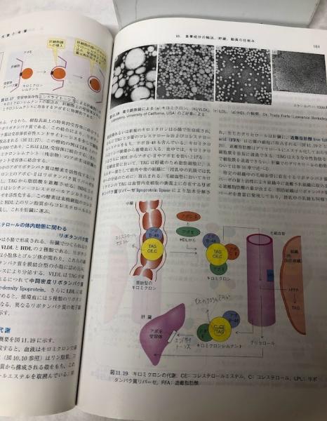 エリオット生化学・分子生物学 | D. Papachristodoulou, A