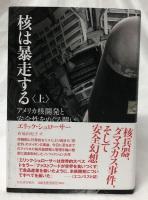 核は暴走する　上下