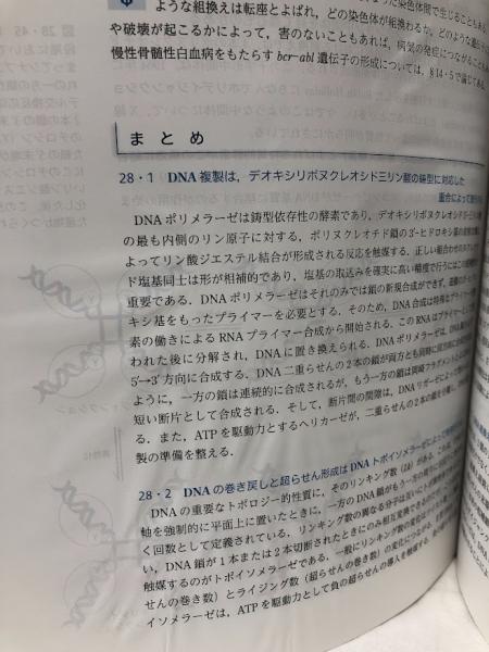 ストライヤー生化学 第8版 | Stryer他 | 東京化学同人 | ¥9,900 - 日本