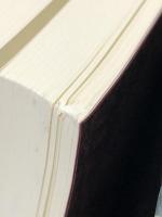 装飾の夢と転生　第1巻