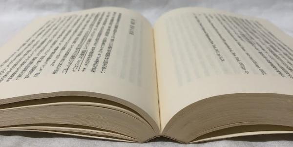 労働と独占資本(H. ブレイヴァマン) / 古本、中古本、古書籍の 労働と独占資本(H. ブレイヴァマン) / 古本、中古本、古書籍の