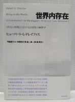 世界内存在