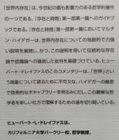 世界内存在