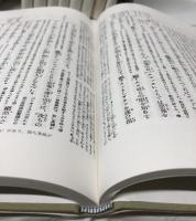 注解新約聖書　揃