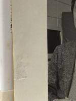 素粒子論の発展