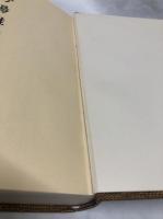 勢陽雑記