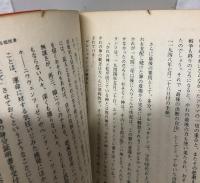 抵抗のアウトサイダー