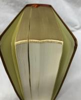 聖書　新共同訳　NI 59DCS