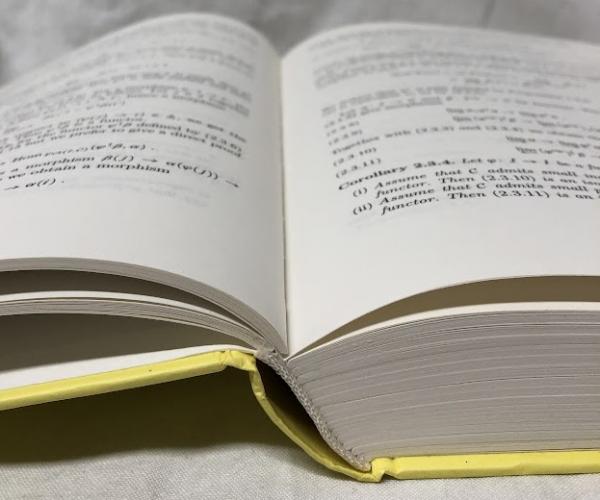 洋書　152冊　古本 数学洋書】CATEGORIES AND SHEAVES(Kashiwara/Schapira) / 古本