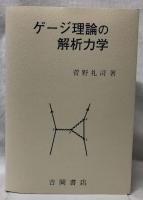 ゲージ理論の解析力学