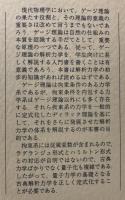 ゲージ理論の解析力学