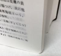 漢方用語大辞典