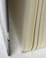 ジー先生の場の量子論　基礎編