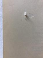 弾性理論
