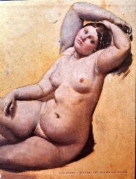 Dessins d'Ingres : catalogue raisonné des dessins du Musée de Montauban