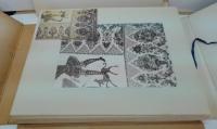 Idess of Textile Design SERIES1