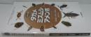 水生昆虫〈２〉タガメ・ミズムシ・アメンボ　ハンドブック