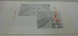 カイコのいる村 : 山里の養蚕史 平成7年度企画展(第9回)