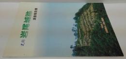 史跡岩尾城跡 : 調査報告書