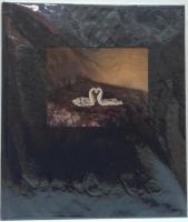 (英)Niagara　Alec Soth ナイアガラ　アレック・ソス