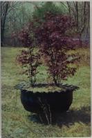 (英)Richard Prince It's a Free Concert From Now On