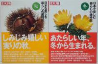 別冊太陽 日本を楽しむ暮らしの歳時記 春・夏・秋・冬号 全4冊