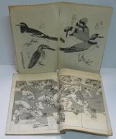 尾形流百図 上・下　２冊