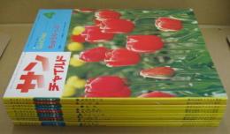 サンチャイルド 1978年4・6月～1979年3月号　11冊（5月号欠）セット