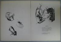 Doubles d'ombre. Poèmes et dessins de Paul: ELUARD ET ANDRE BEAUDIN　ポール・エリュアール＆アンドレ・ボーディン