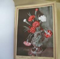 PENROSE'S ANNUAL ペンローズ年鑑□1930/VOL32 THE YEAR'S