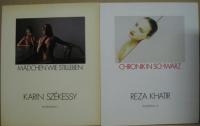 (独)PHOTOEDITION  1: JOST WILDBOLZ 2:UWE OMMER 5:CHRISTIAN VOGT 8:MAX SCHMID  FASZINATION LANDSCHAFT 9:ANGELIKA VOGEL: SZENISCHE AKTE 10:HARALD MANTE KOMPOSITIONEN 11:KARIN SZEKESSY  MADCHEN WIE STILLEBEN 12:REZA KHATIR CHRONIKIN SCHWARZ ８冊セット