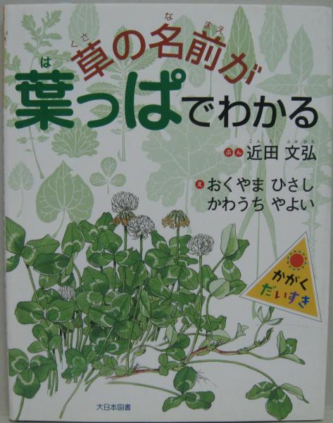L'UTOPIE DU TOUT PLASTIQUE (仏)オールプラスティックの
