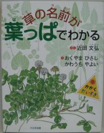 草の名前が葉っぱでわかる