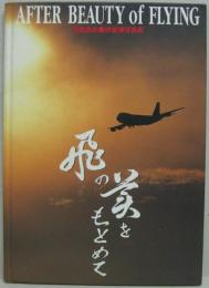 After Beauty of Flying　飛の美をもとめて : 旅客機写真集
