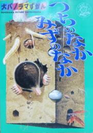 大パノラマずかん つちのなか みずのなか 絵 木村修 デザイン 原佳子 萩書房 古本 中古本 古書籍の通販は 日本の古本屋 日本の古本屋 大パノラマずかん つちのなか みずのなか 絵 木村修 デザイン 原佳子 萩書房 古本 中古本 古書籍の通販は 日本の古本屋 日本の古本屋