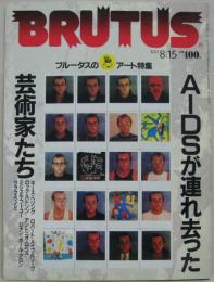 BRUTUS　No.255 1991年8月15日号 ブルータスのアート特集