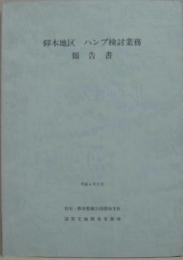 仰木地区 ハンプ検討業務報告書