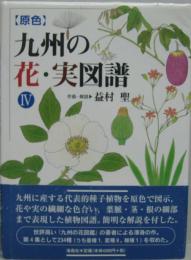 【原色】九州の花・実図譜4