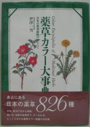 薬草カラー大事典 : 日本の薬用植物のすべて