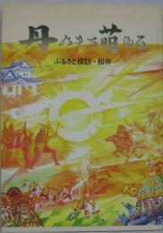 丹のまち萌ゆる : ふるさと探訪・船井