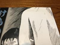 無頼平野　河童の居る川　けもの記
(つげ忠男漫画傑作集全3巻)